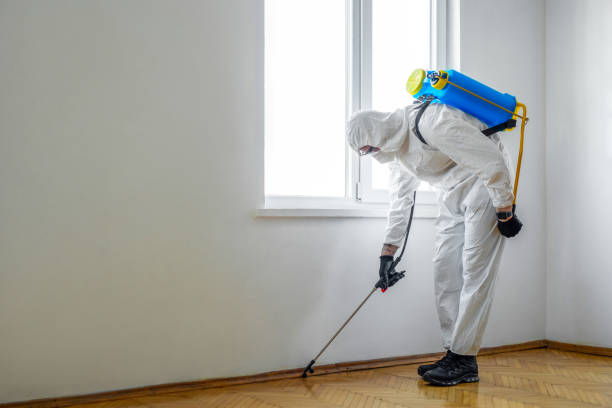 Pest Control for Hotels in Hudson, FL